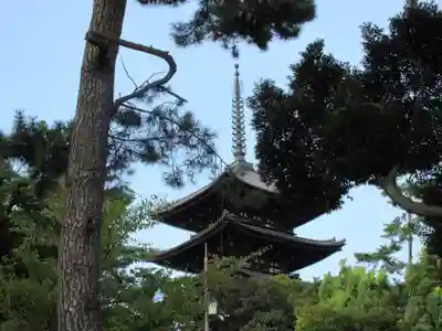 興福寺の塔