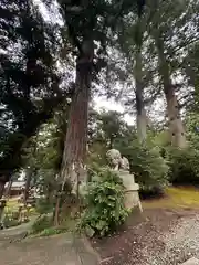 気多神社(富山県)