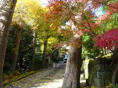黄梅院(円覚寺塔頭)の自然