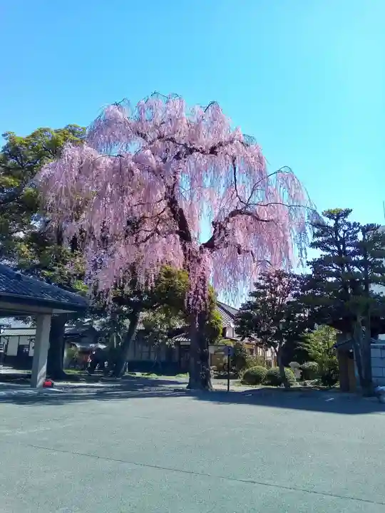 道仁寺(宮城県)
