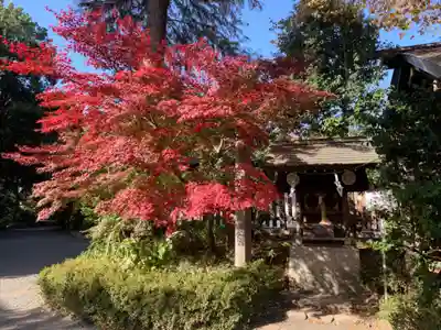 阿佐ヶ谷神明宮の末社・摂社