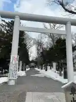 新琴似神社の鳥居