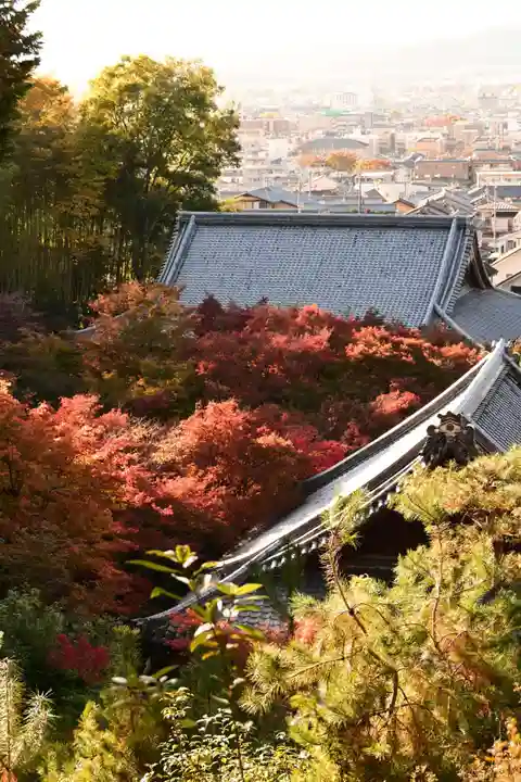 圓光寺(京都府)