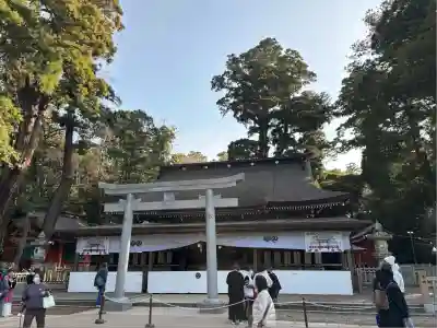 鹿島神宮(茨城県)
