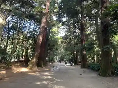 鹿島神宮(茨城県)