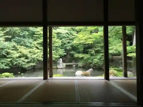 蓮華寺（洛北蓮華寺）の庭園