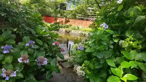 稗田野神社(薭田野神社)の自然