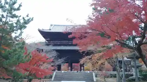 南禅寺の山門・神門
