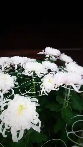 尾張大國霊神社（国府宮）の自然