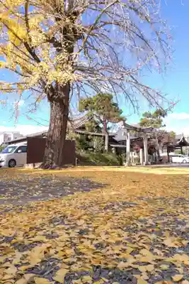 頂妙寺(京都府)