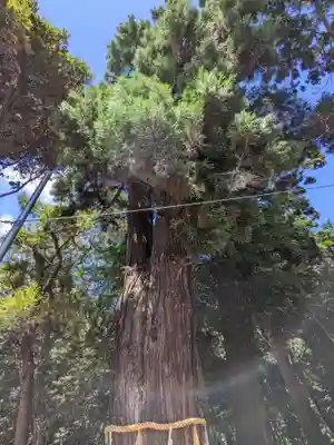 息栖神社(茨城県)