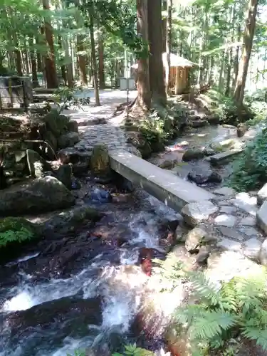 天徳寺の庭園