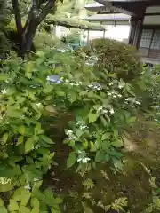 浄妙寺(神奈川県)