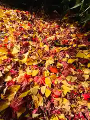 紅葉八幡宮(福岡県)