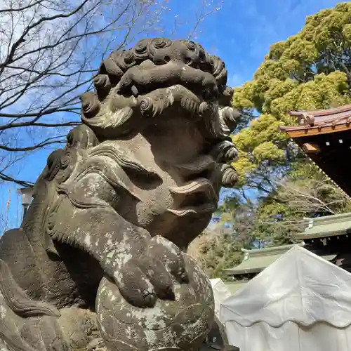 代々木八幡宮の狛犬