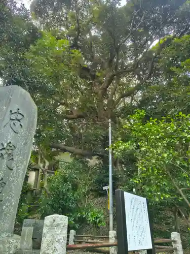 高來神社の{uncategorized: "未分類", other: "その他", undefined: "問題あり", building: "その他建物", grave: "お墓", sacred_gate: "鳥居", guardian: "狛犬", statue: "像", buddha: "仏像", history: "歴史", nature: "自然", garden: "庭園", animal: "動物", pagoda: "塔", temizu: "手水舎", mountain_gate: "山門・神門", sanctuary: "本殿・本堂", subordinate: "末社・摂社", art: "芸術", scenery: "景色", jizo: "地蔵", ema: "絵馬", goshuin: "御朱印", omikuji: "おみくじ", items: "授与品その他", amulet: "お守り", goshuincho: "御朱印帳", eats: "食事", festival: "お祭り", votive_dance: "神楽", shichigosan: "七五三参", wedding: "結婚式", experience: "体験その他", initially: "初詣", around: "周辺", anti_infection: "感染症対策"}