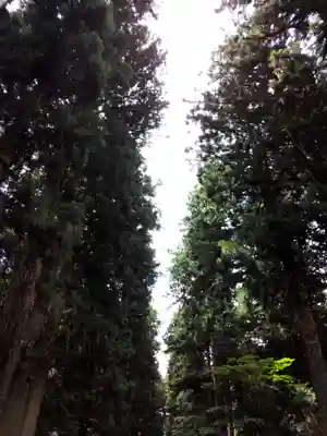 北口本宮冨士浅間神社のその他建物