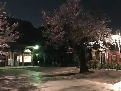 池上本門寺(東京都)