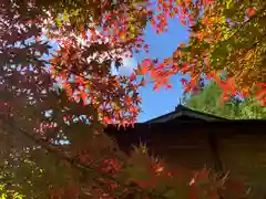 滑川神社 - 仕事と子どもの守り神の自然