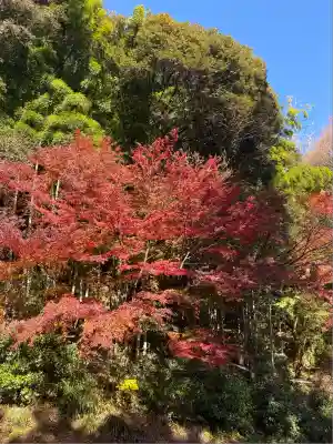 財賀寺(愛知県)