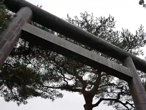 櫻岡大神宮の鳥居