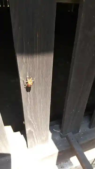 酒門神社(茨城県)
