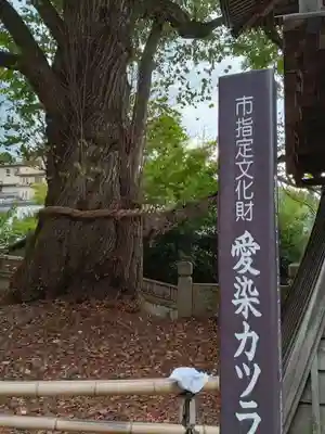 北向観音(長野県)