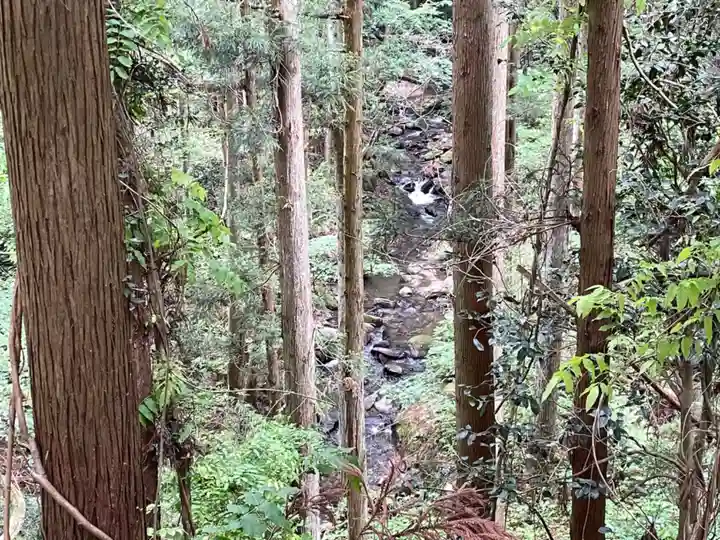 北野神社の自然