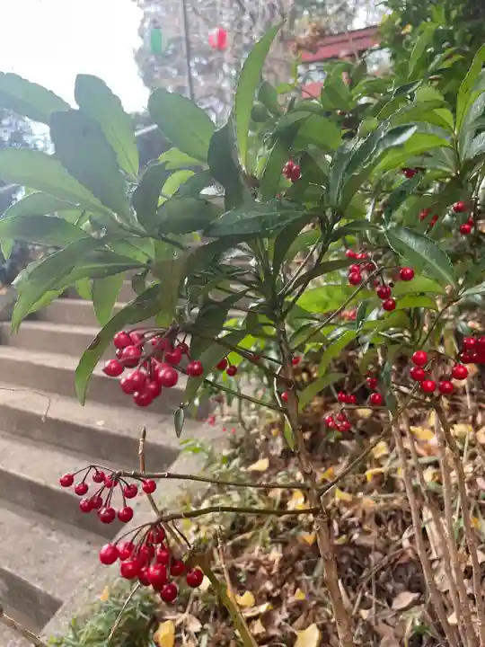 十二天神社(神奈川県)