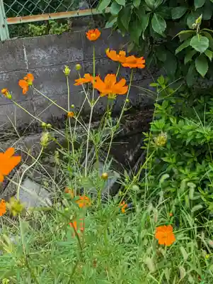 大將軍神社(京都府)