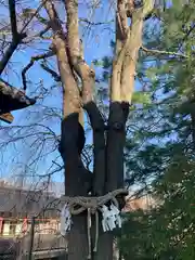 差出磯大嶽山神社 仕事と健康と厄よけの神さま(山梨県)