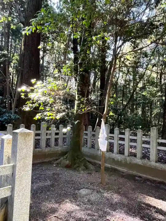 鹿島神宮(茨城県)