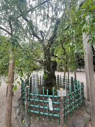大國魂神社(東京都)