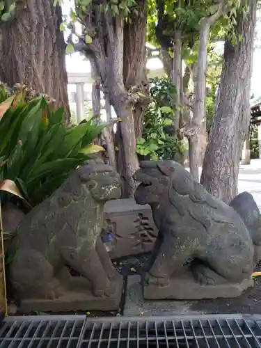 麻布氷川神社の狛犬