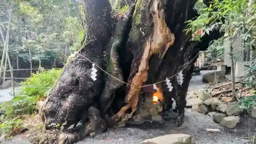 來宮神社(静岡県)