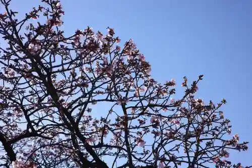 西新井大師総持寺の自然