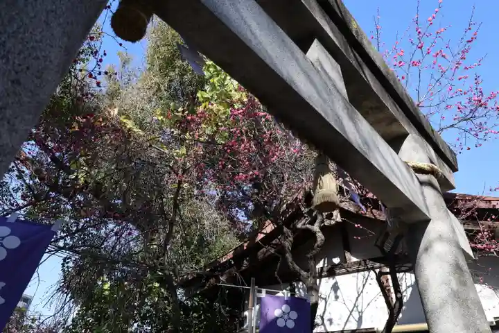 牛天神北野神社(東京都)