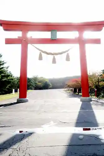 樽前山神社の鳥居