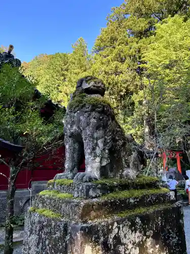 箱根神社の狛犬