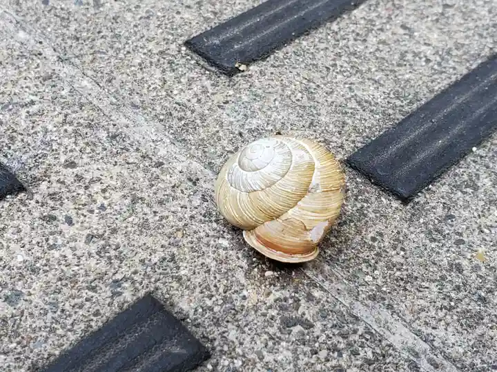 平野八幡神社の動物