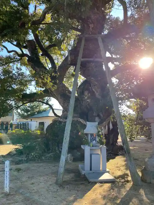 善通寺(香川県)