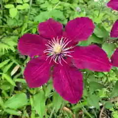 豊景神社の自然