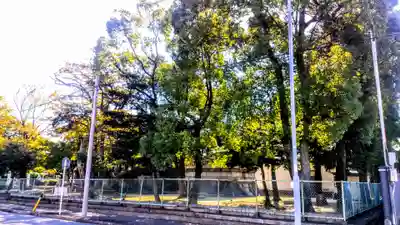 八劔社(桂八劔社)の自然