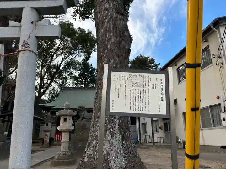 安房神社(千葉県)