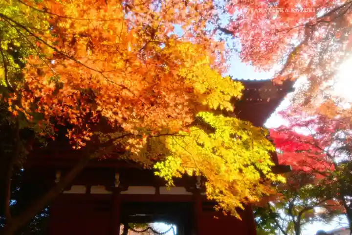 本土寺(千葉県)