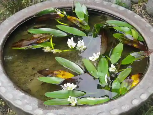 大巧寺(神奈川県)