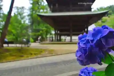 円覚寺(神奈川県)