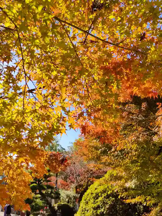 伊勢の国 四天王寺の自然
