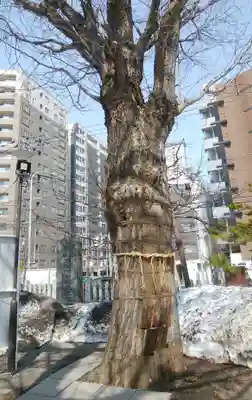 北海道神宮頓宮のその他建物