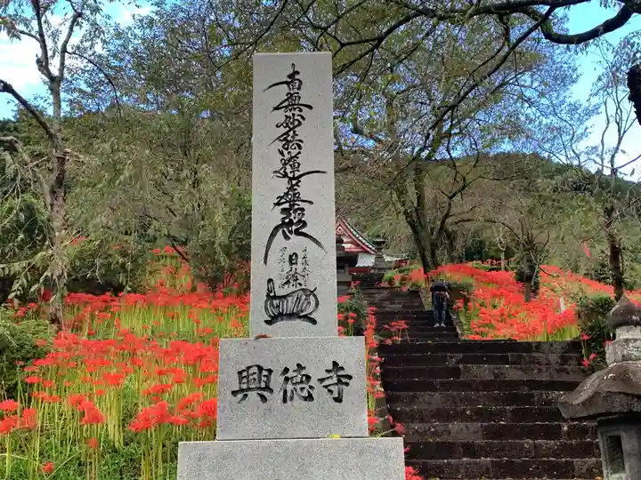 興徳寺(静岡県)